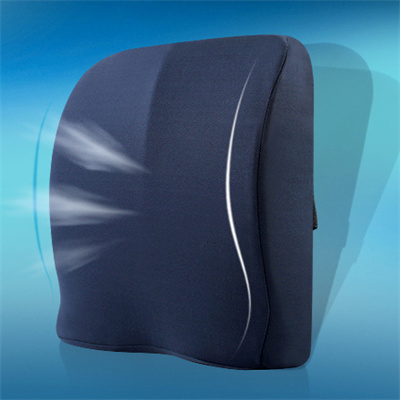 Wheelchair Cushion (3)